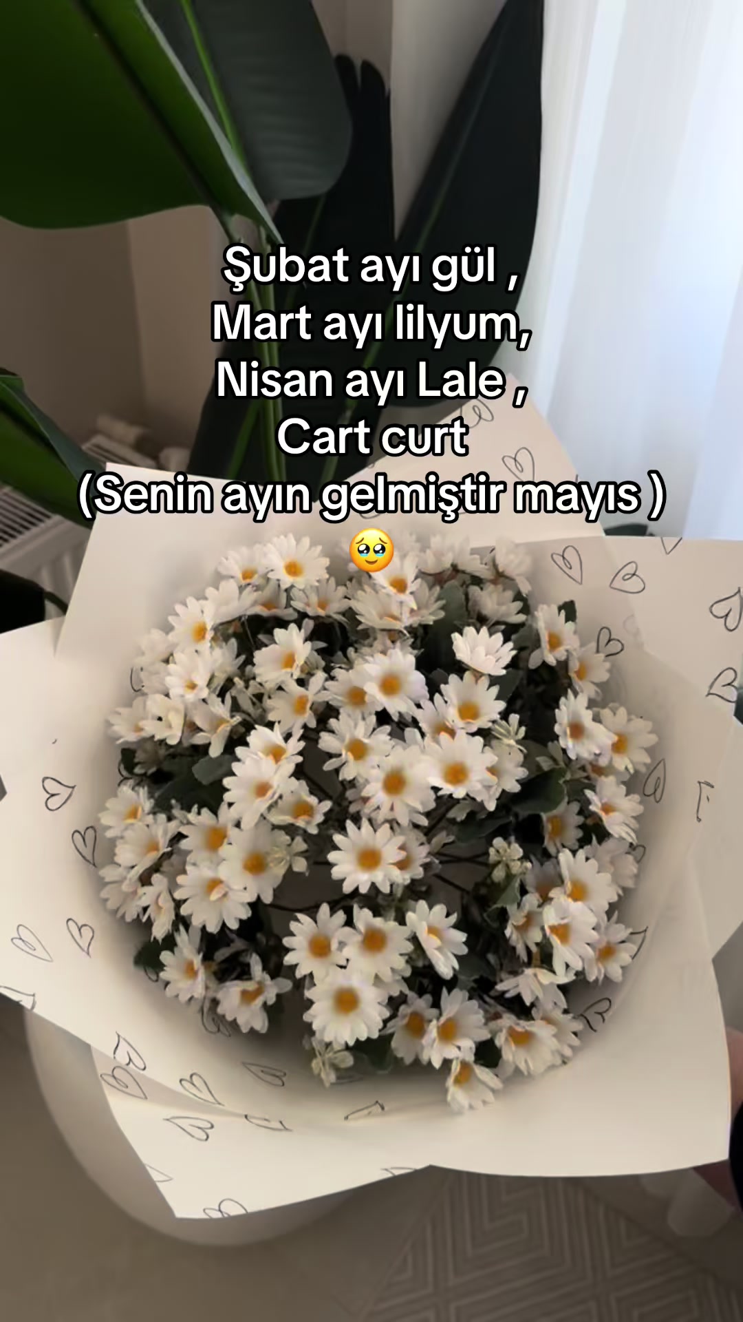 @Almir