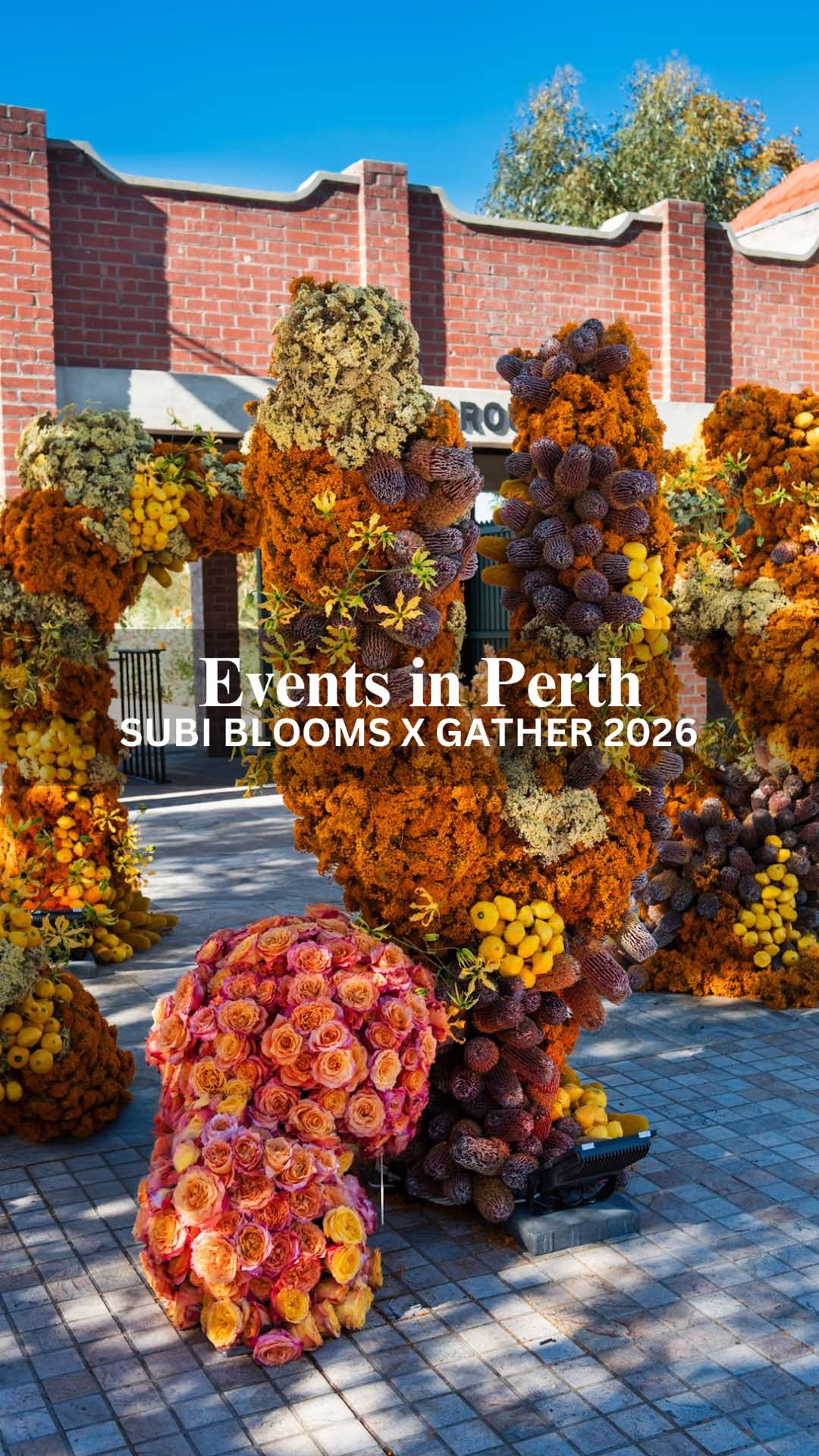 @Perth Local