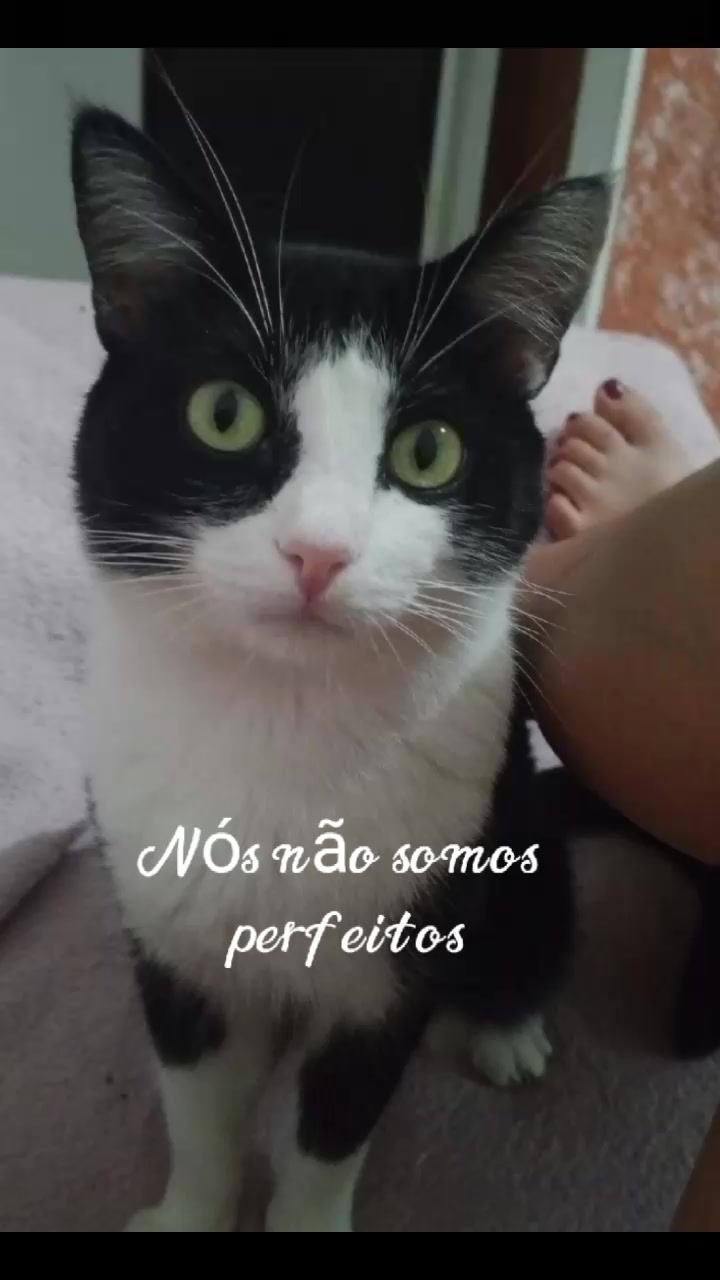 @Elisângela Costa