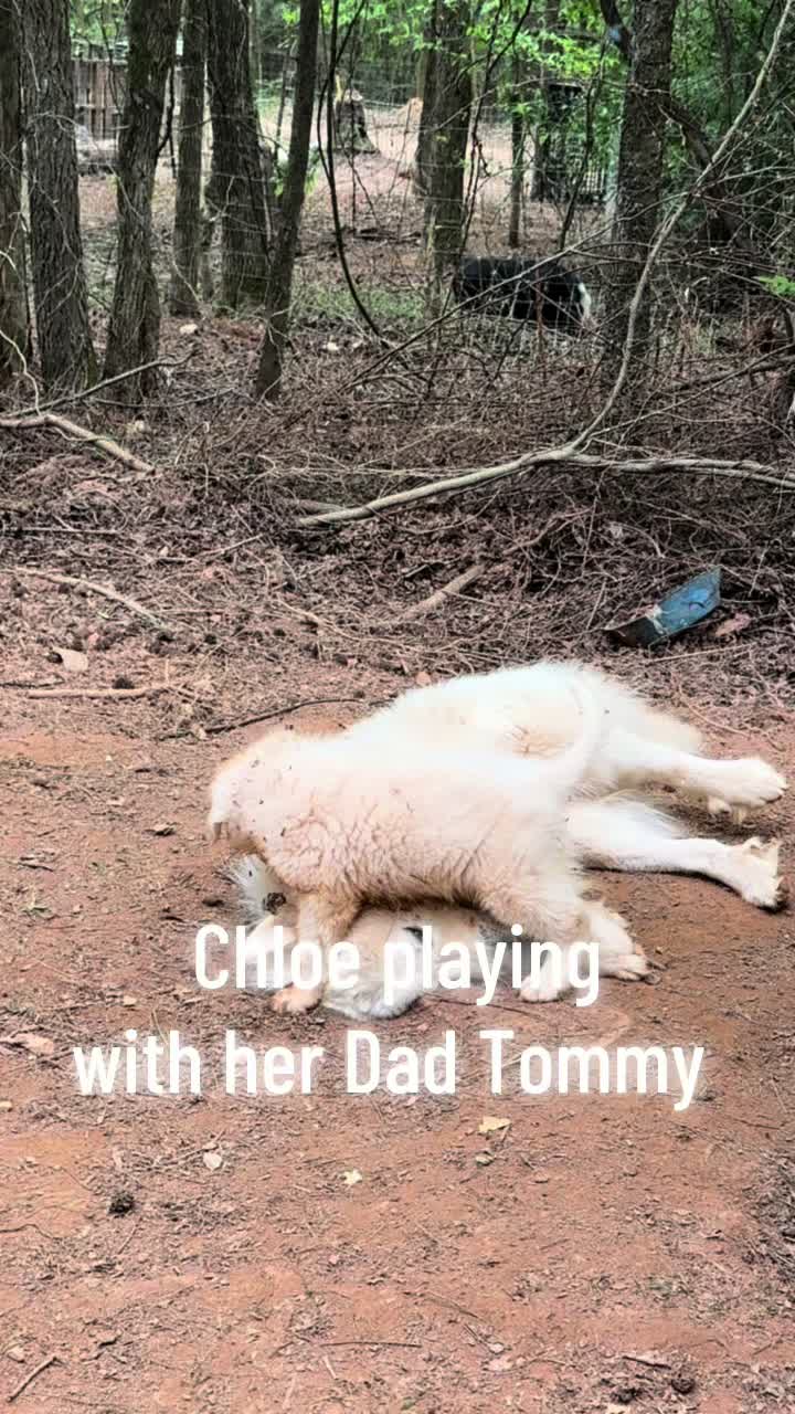 @JEPsFarm