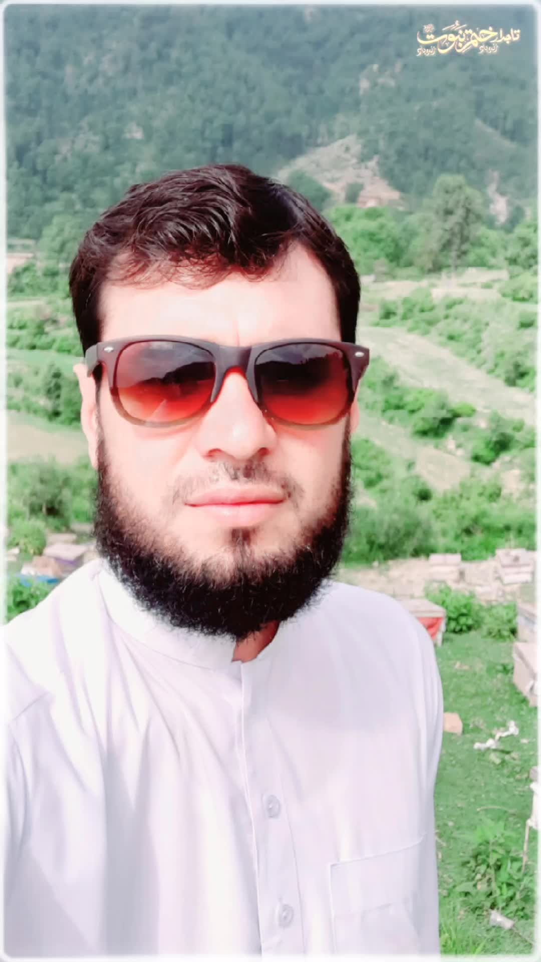 @Muhammad Ibrahim