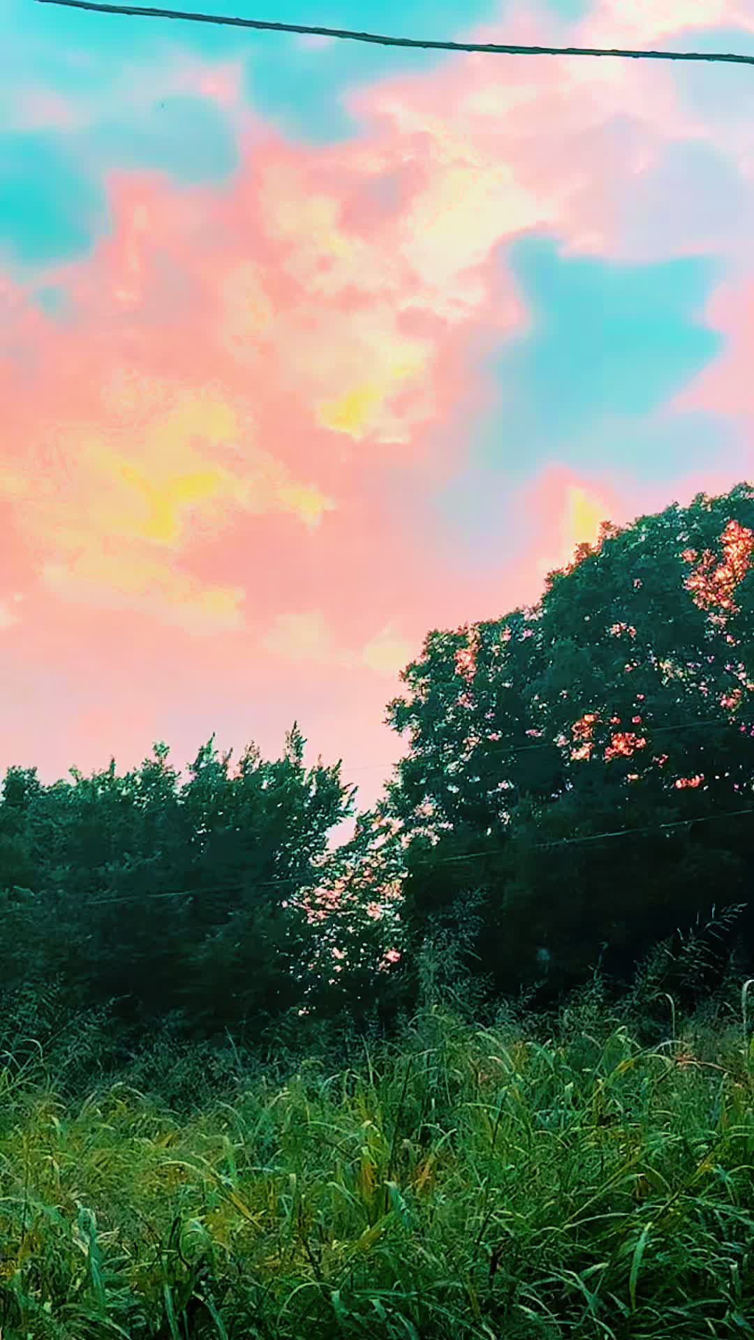 @txtrvsh