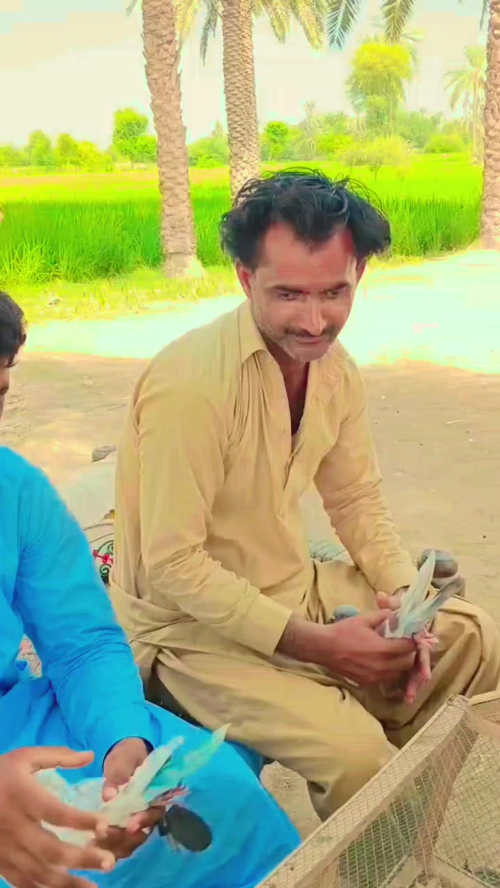 @Zarar Hussain