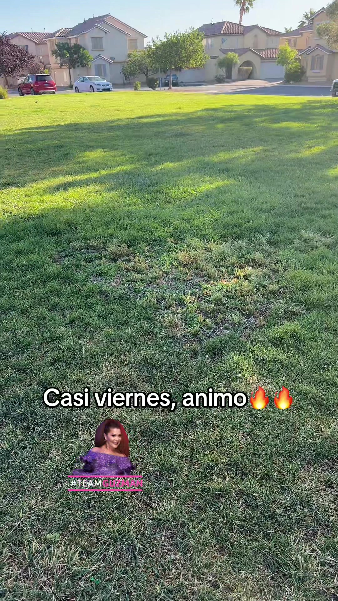 @Raulito  Aguilar