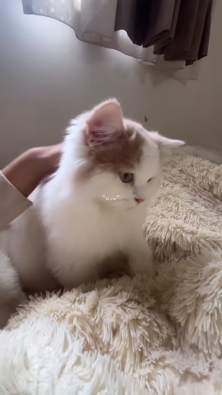 @ワタシの可愛い天使達💘