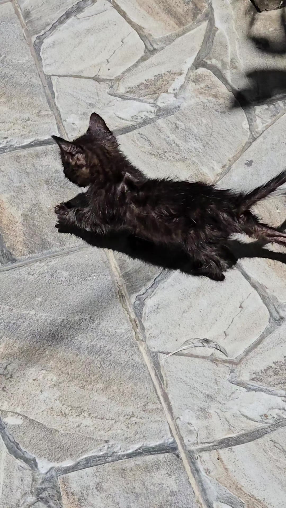 @ilker Örkmez