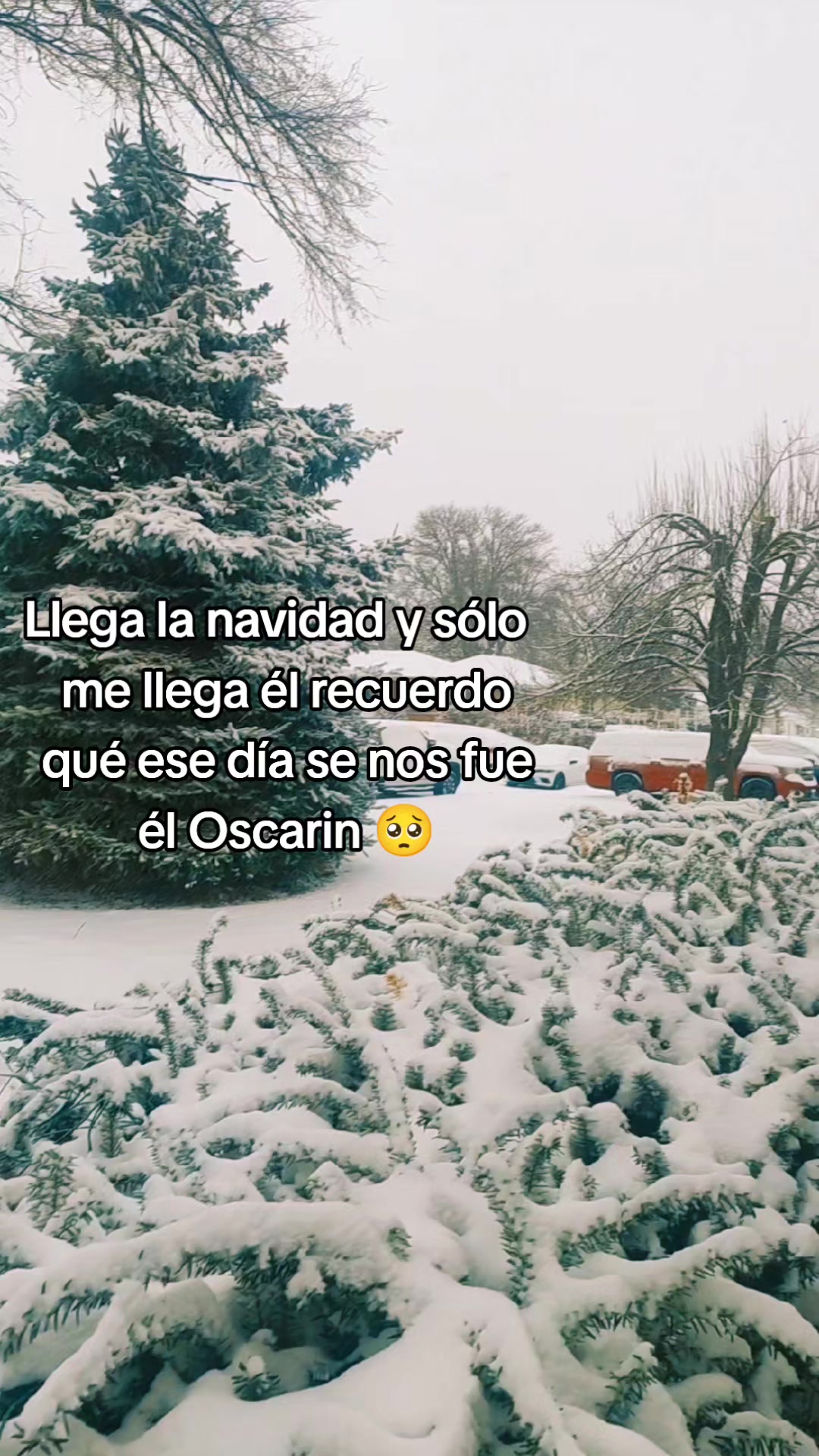 @A. Sandoval