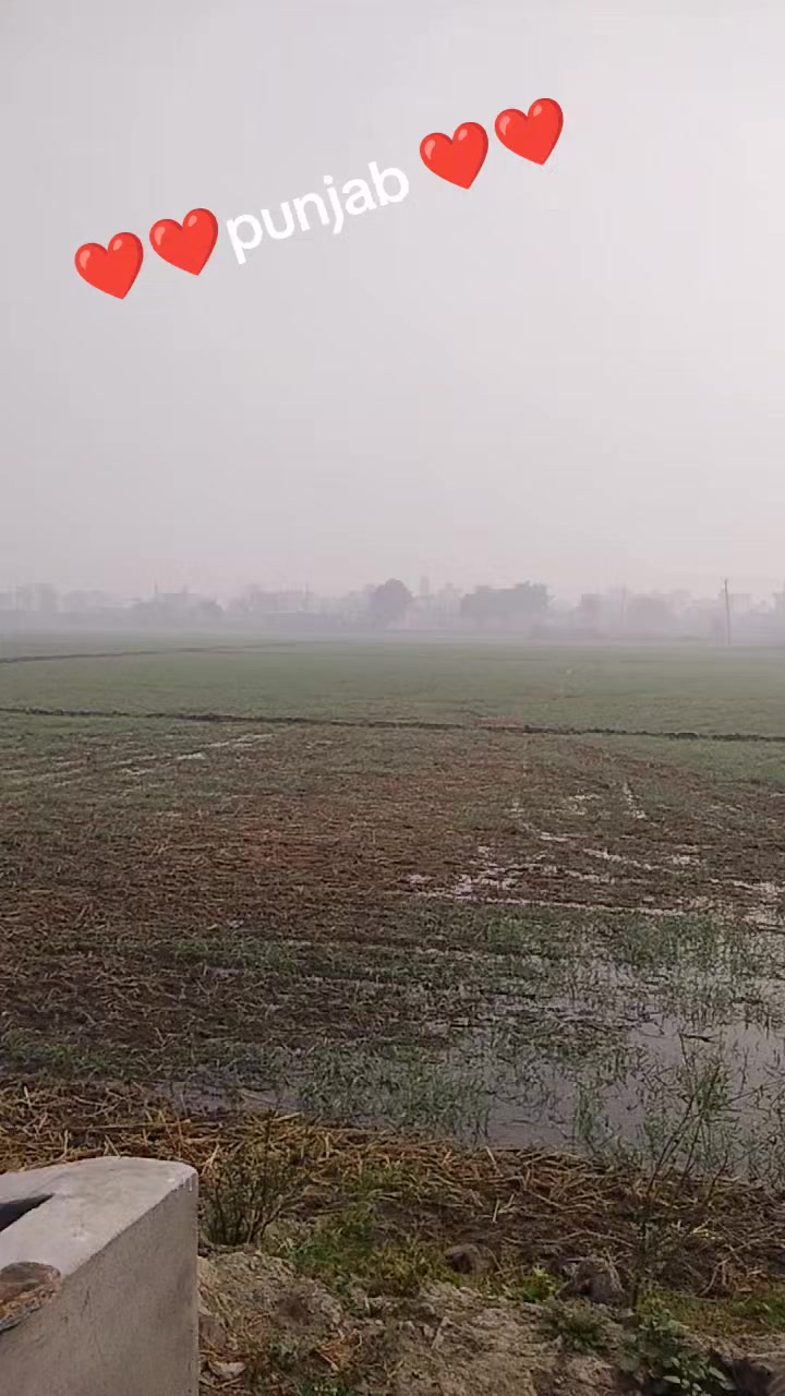 @jasveer jassi