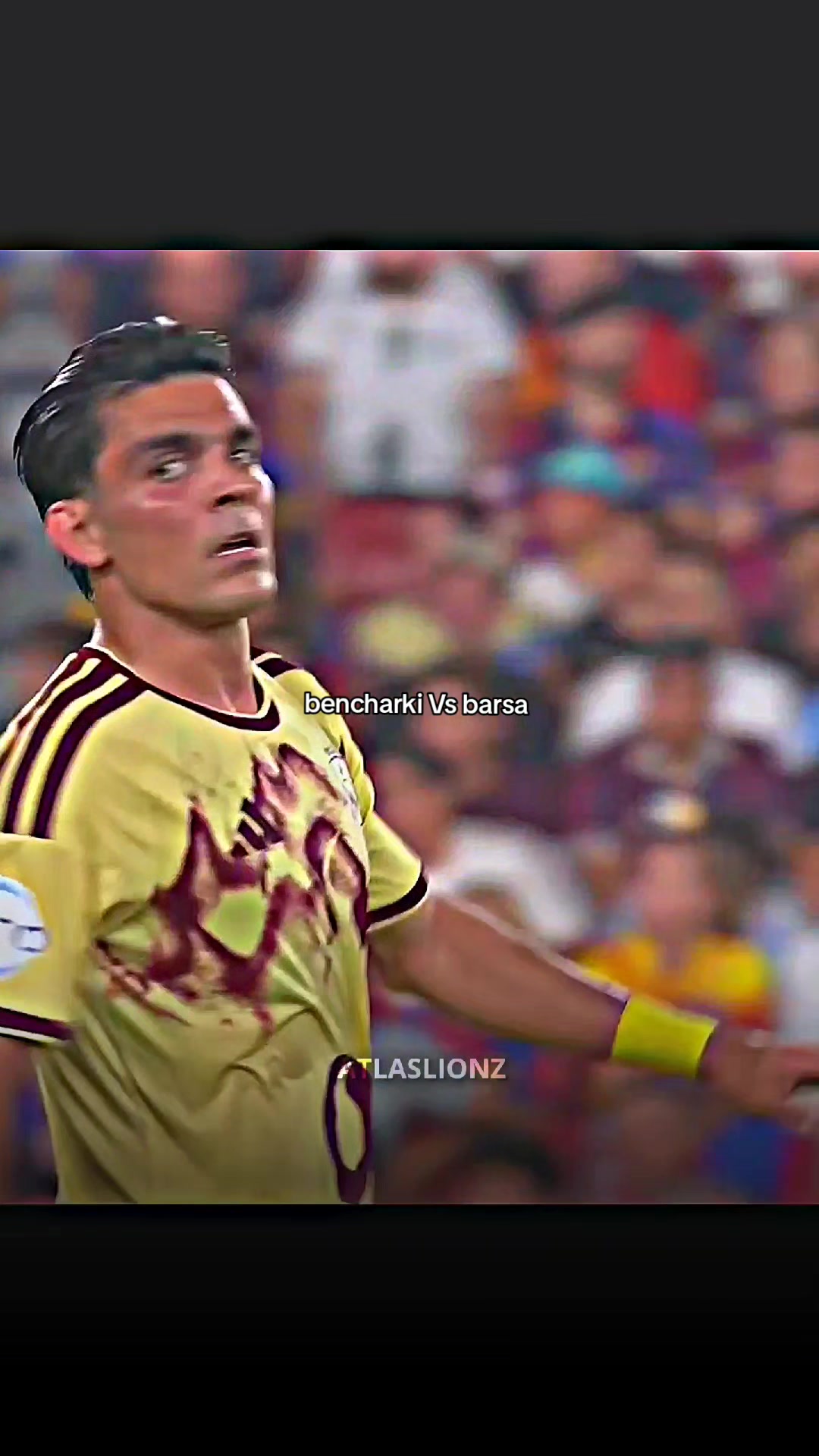 @اسود الاطلس | Atlaslions
