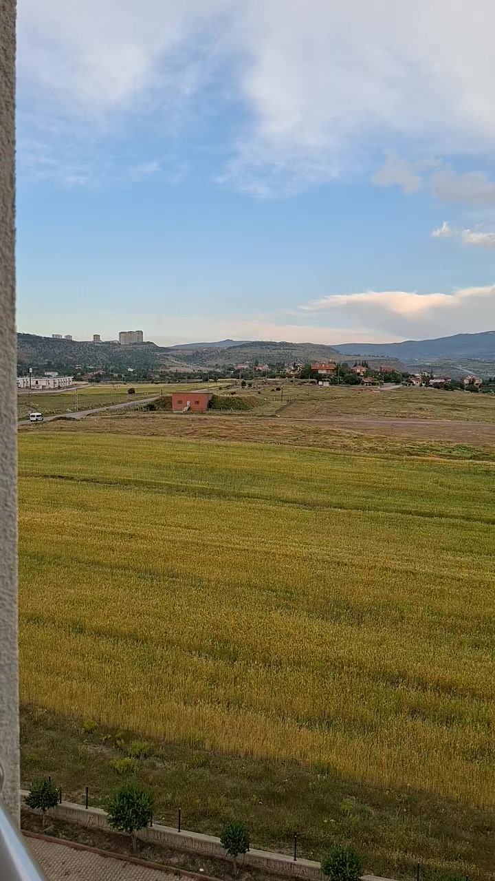 @davutardic