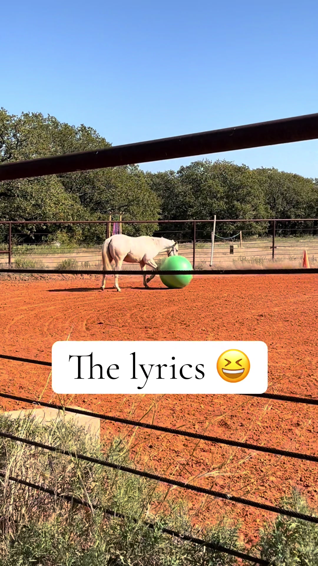 @haley&horses