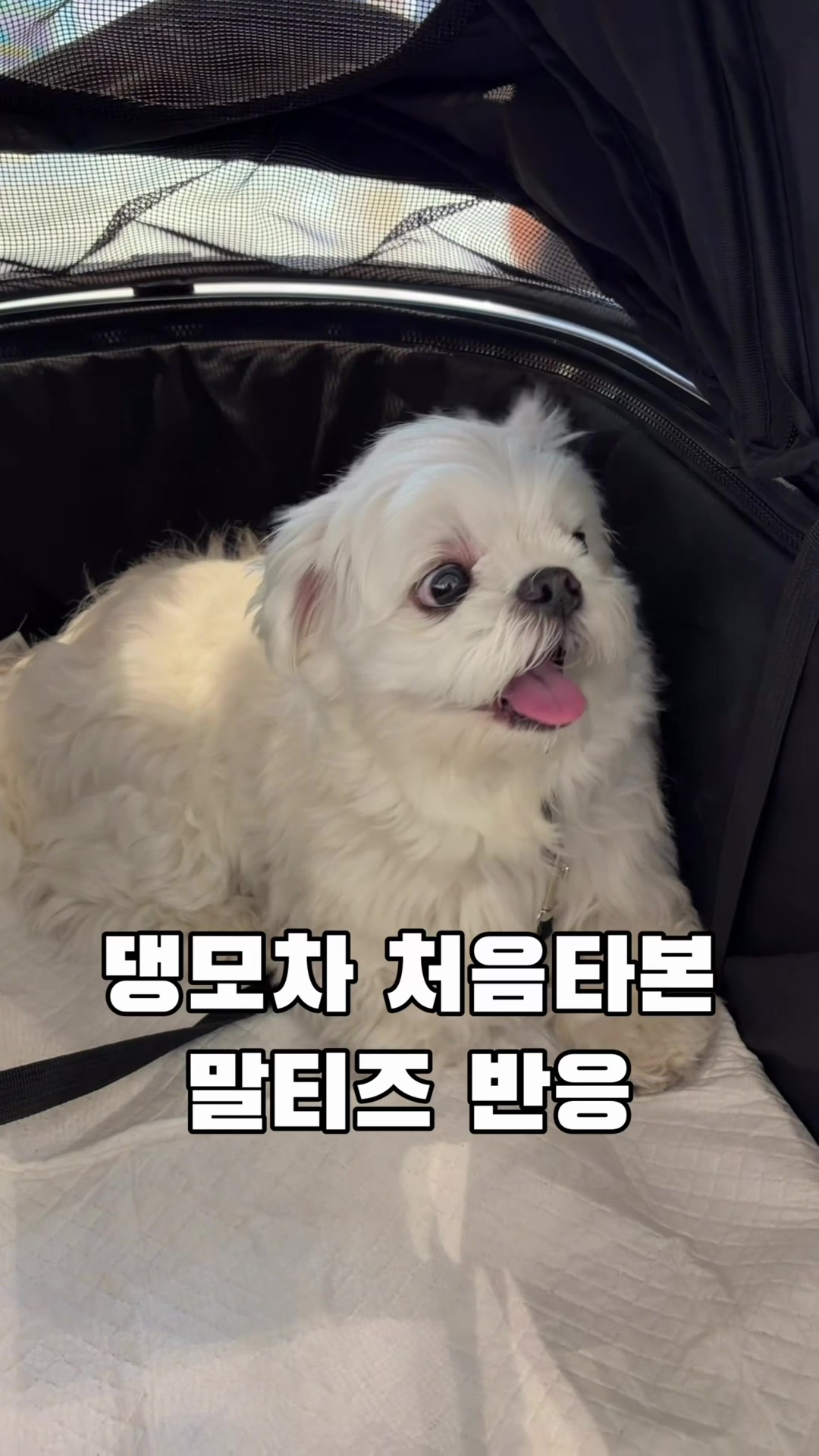 @박까까