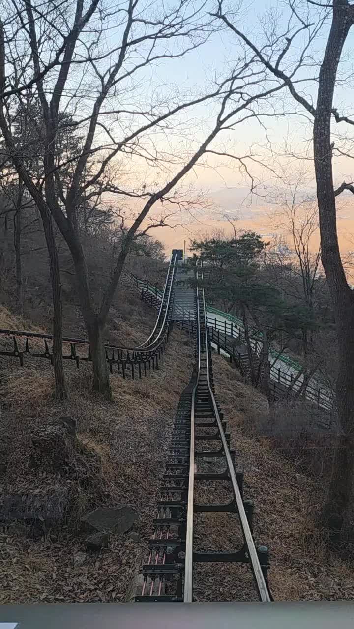 @bigtree