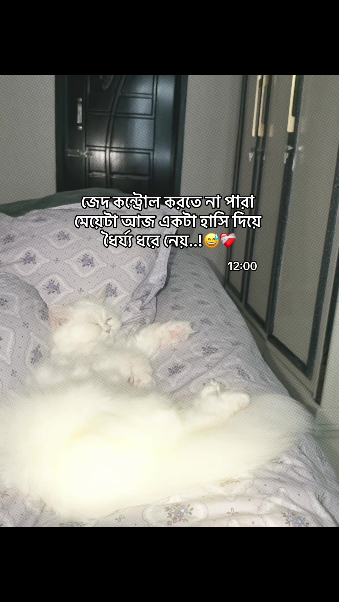 @Safa