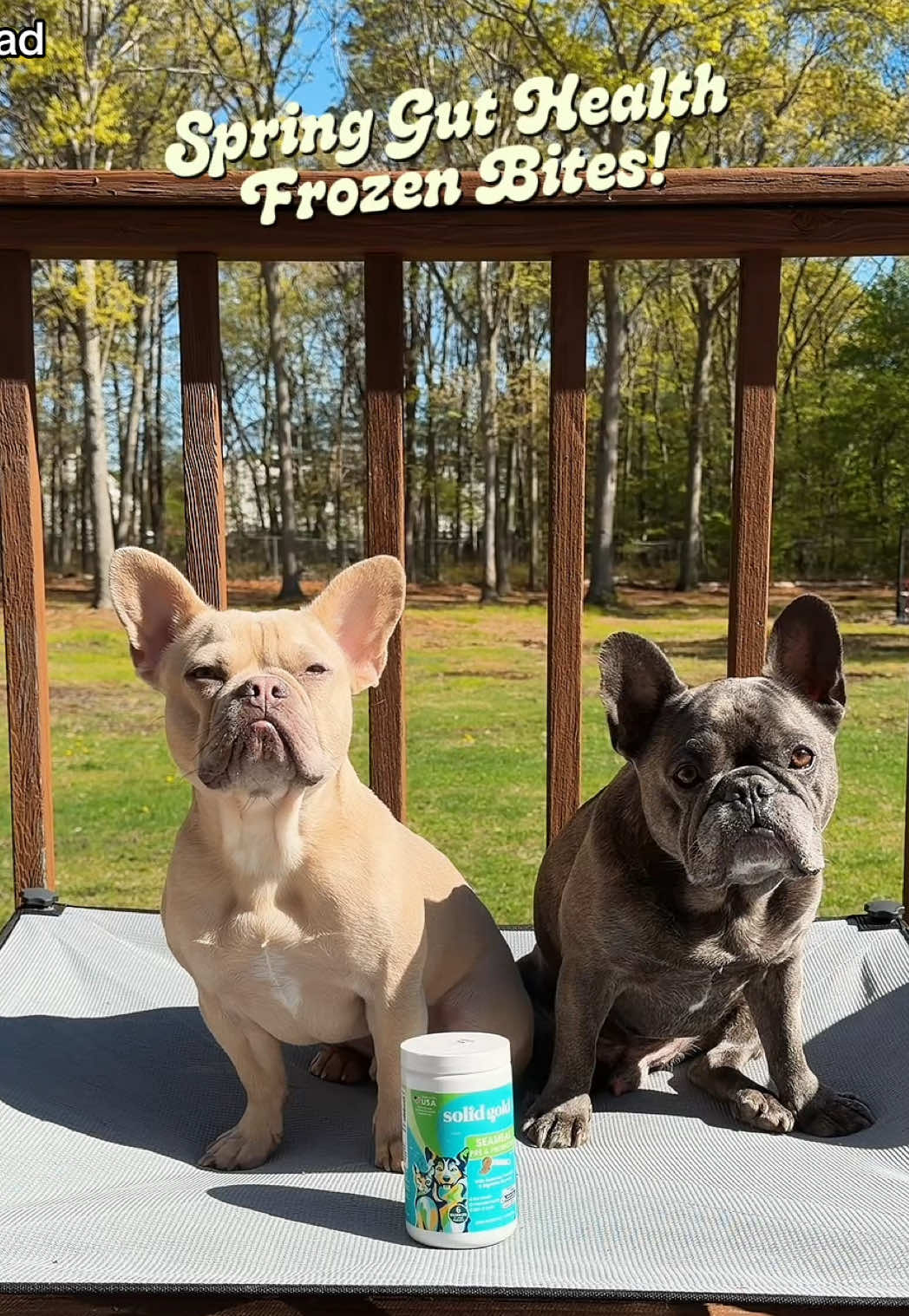 @Winston & Charlie 🐾