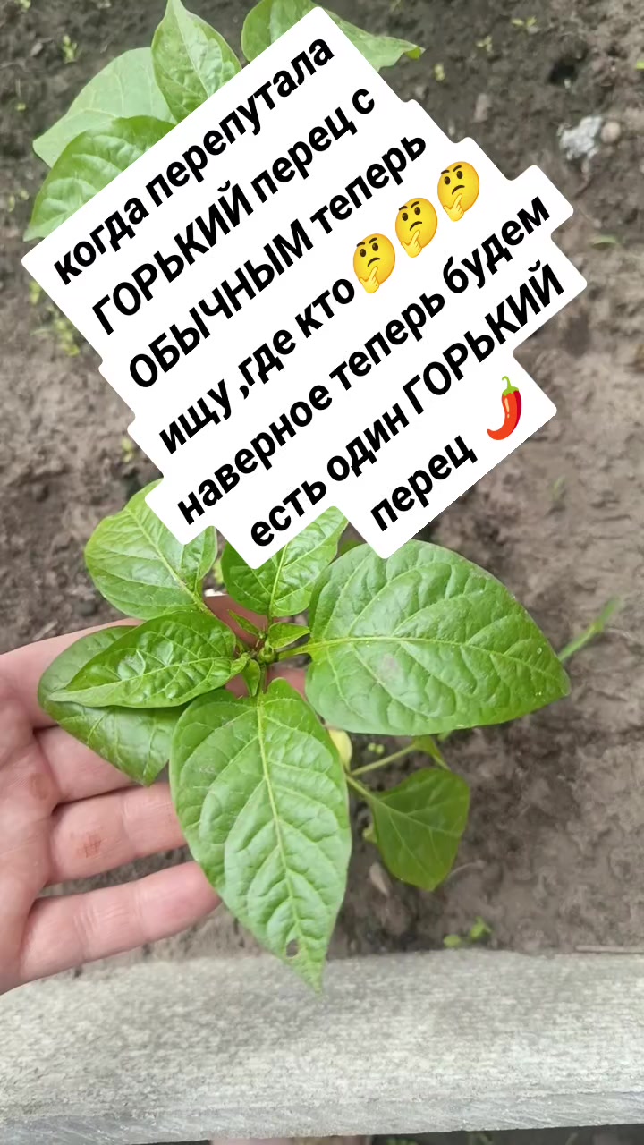 @Оленька