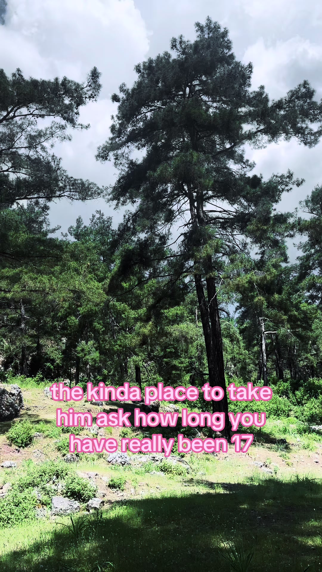 @dt.beyza