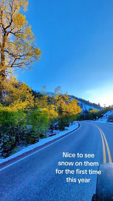 @Colorado Genx