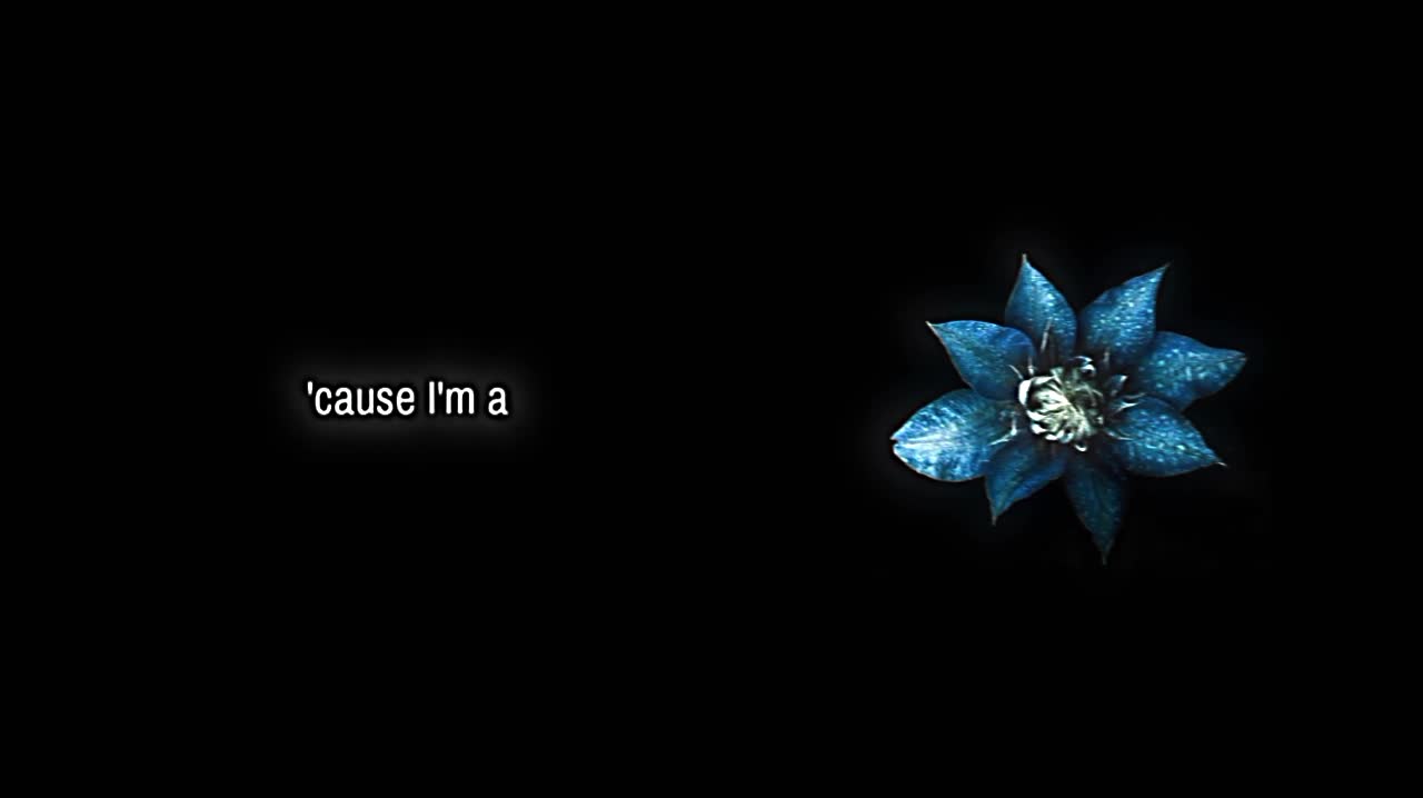 @𝘷𝘦𝘭𝘮𝘮𝘳𝘢𝘺𝘹