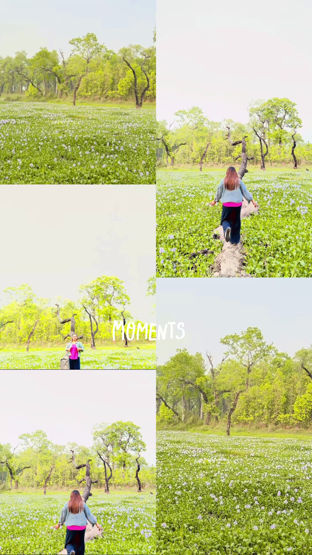 @yuma chhetri