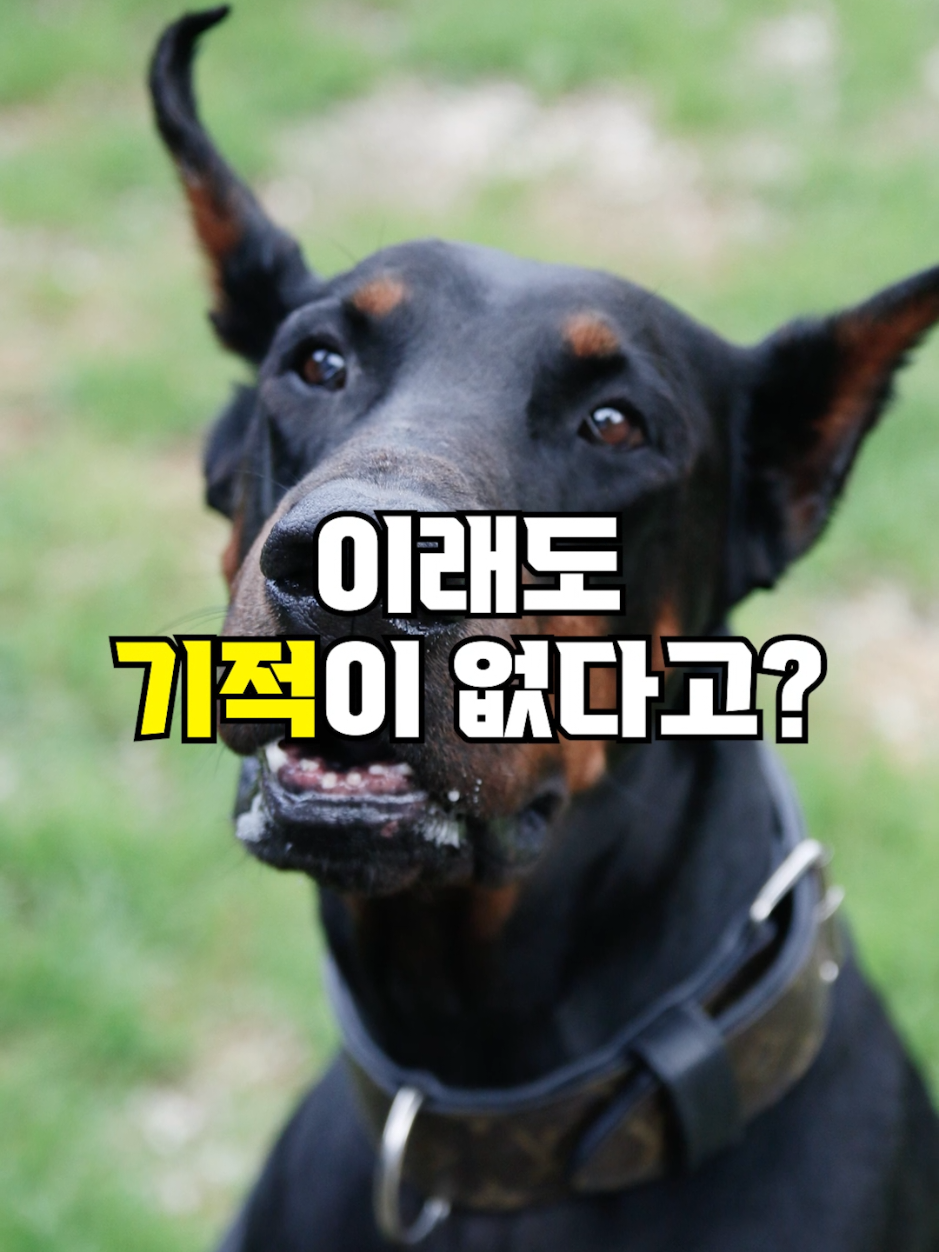 @뚝딱 상식 뚝배기