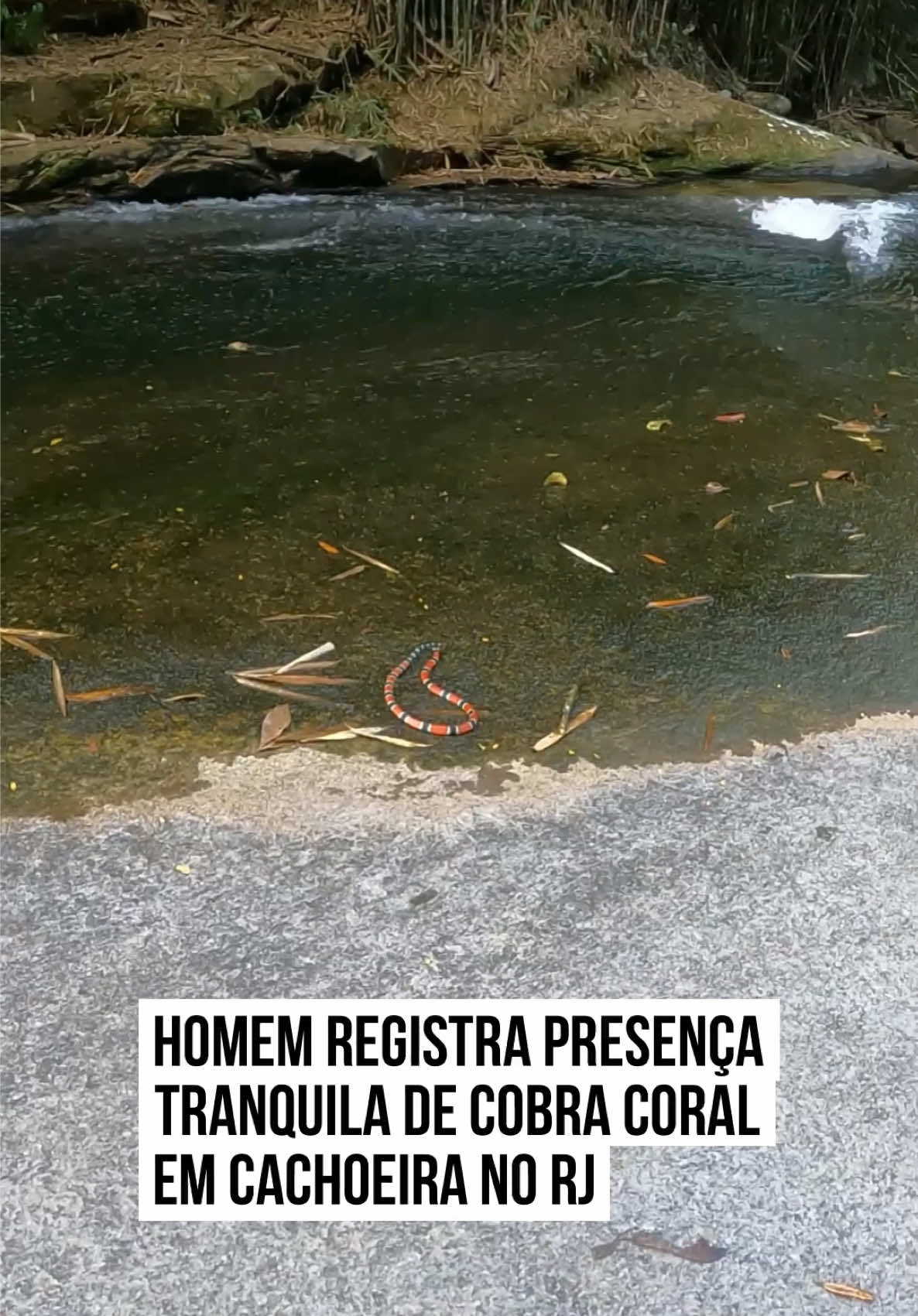 @Metr&oacute;poles Oficial
