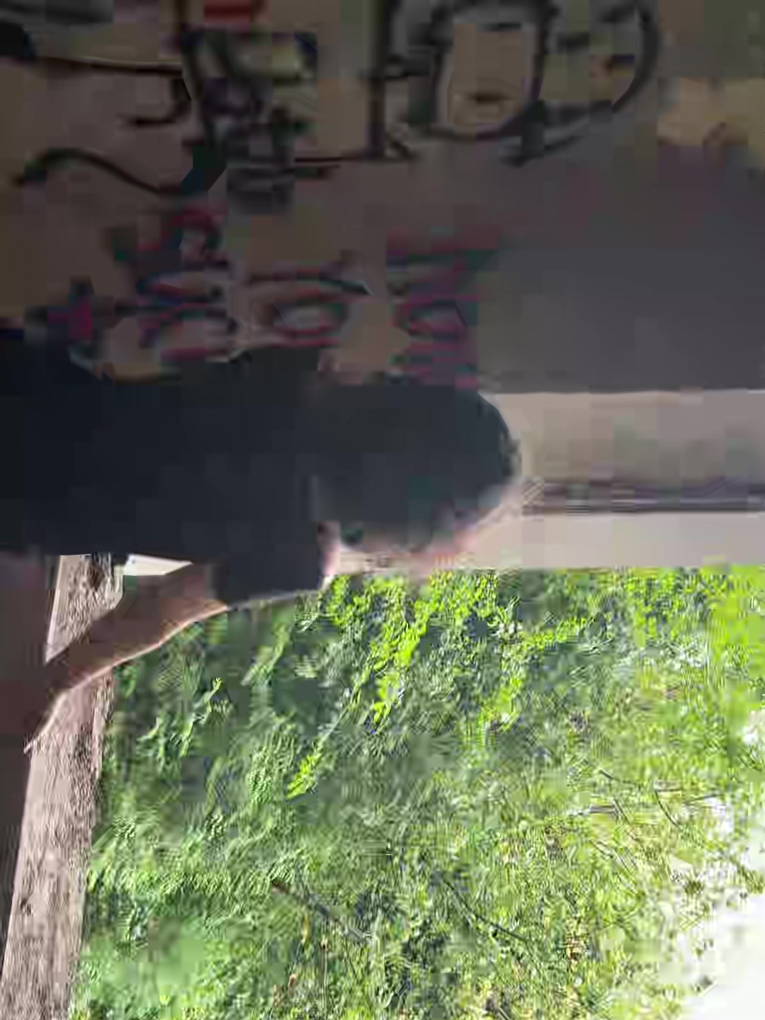 @алисвити@