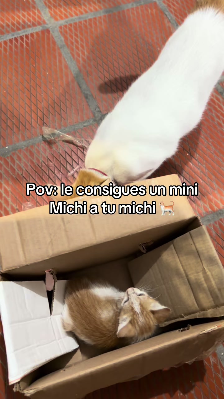 @Gisell