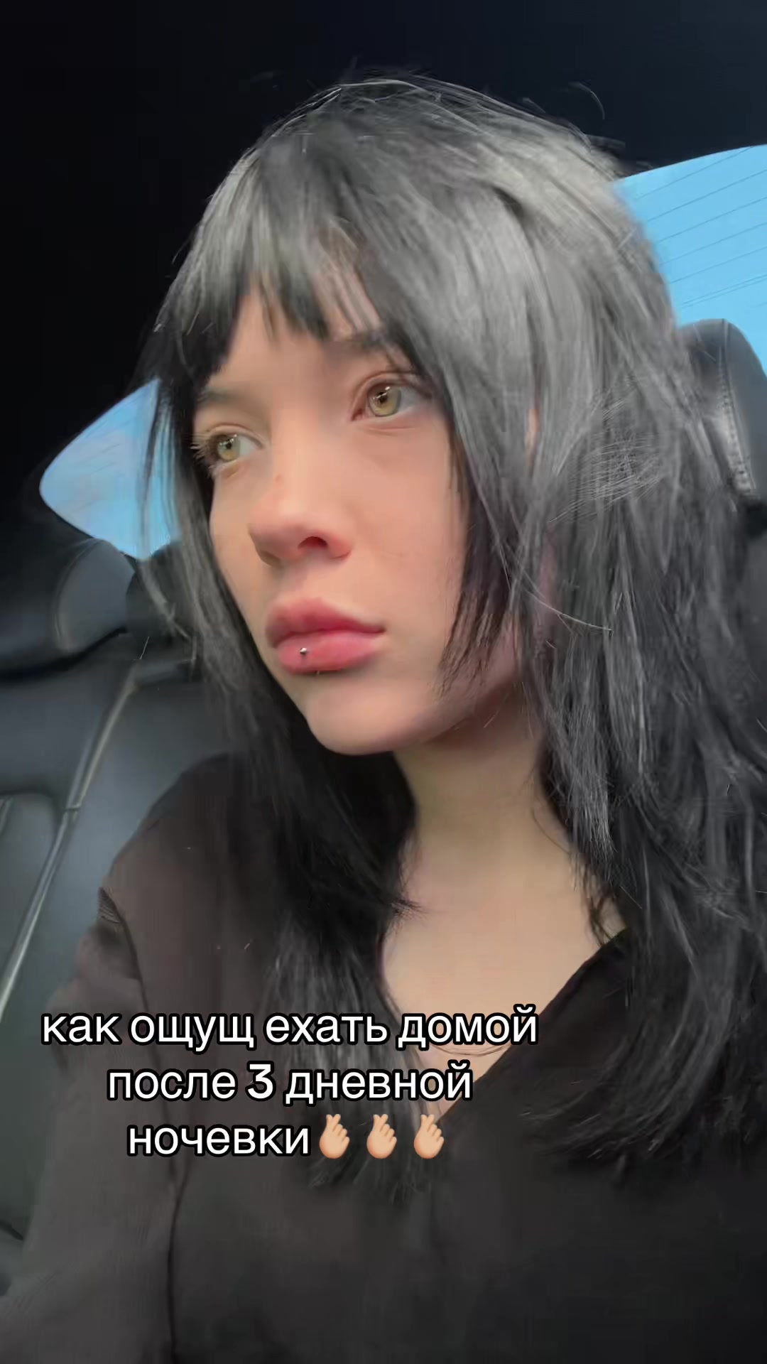 @sashapoganka