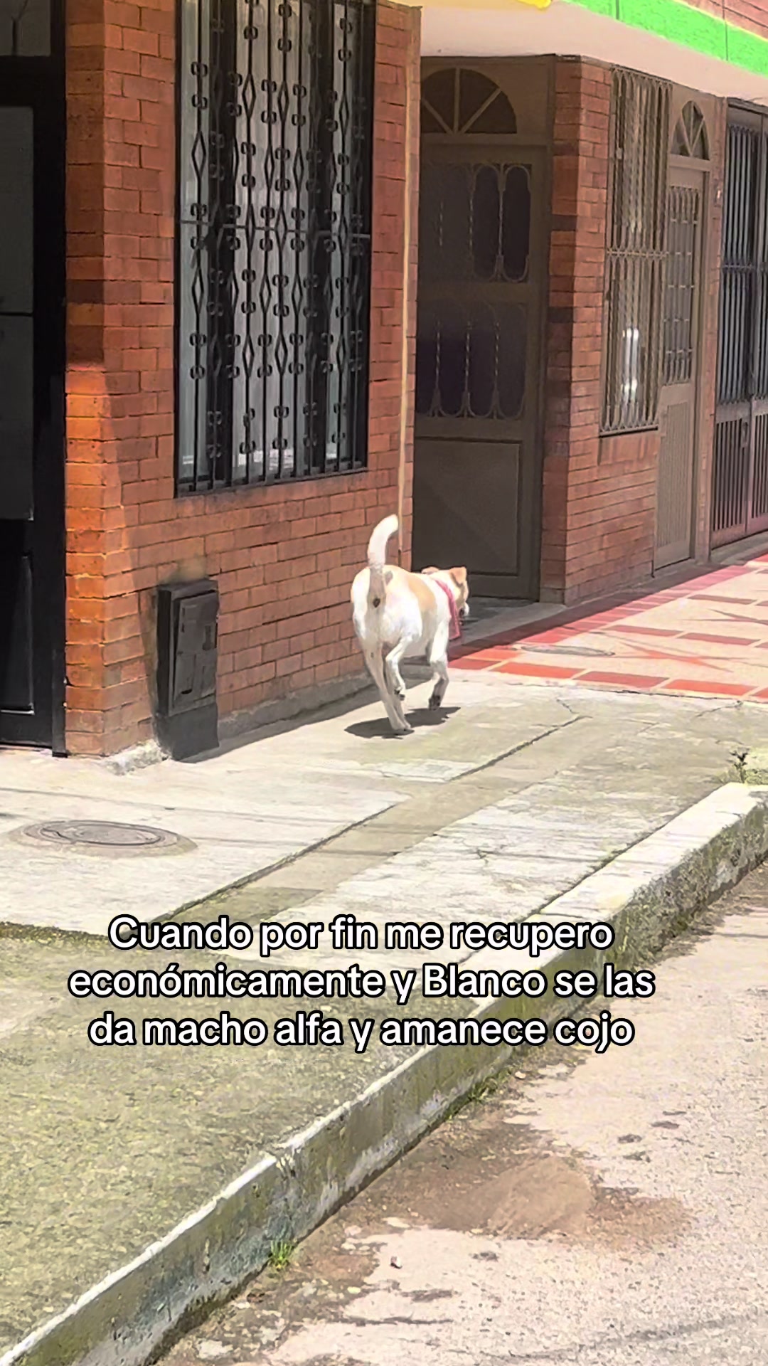 @Andrea Navarro