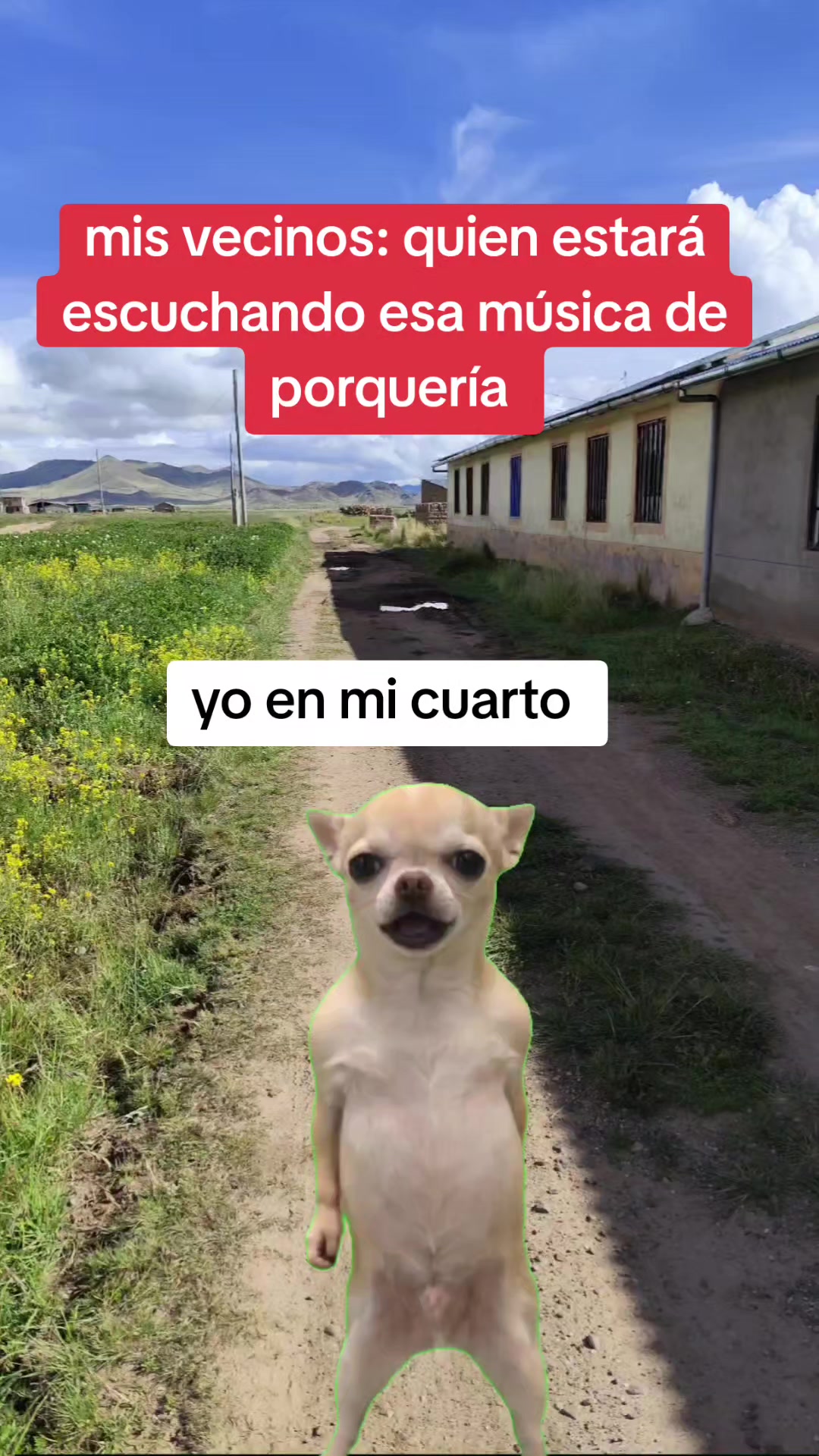 @Rodrich 🐶🌽