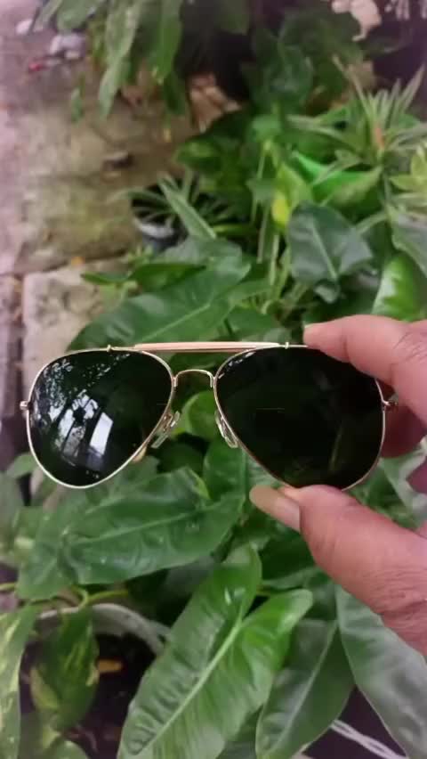 @Kang Mus