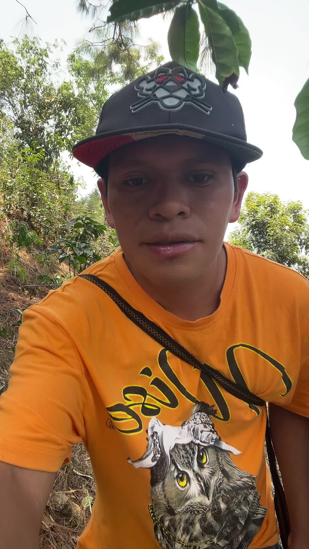 @marco