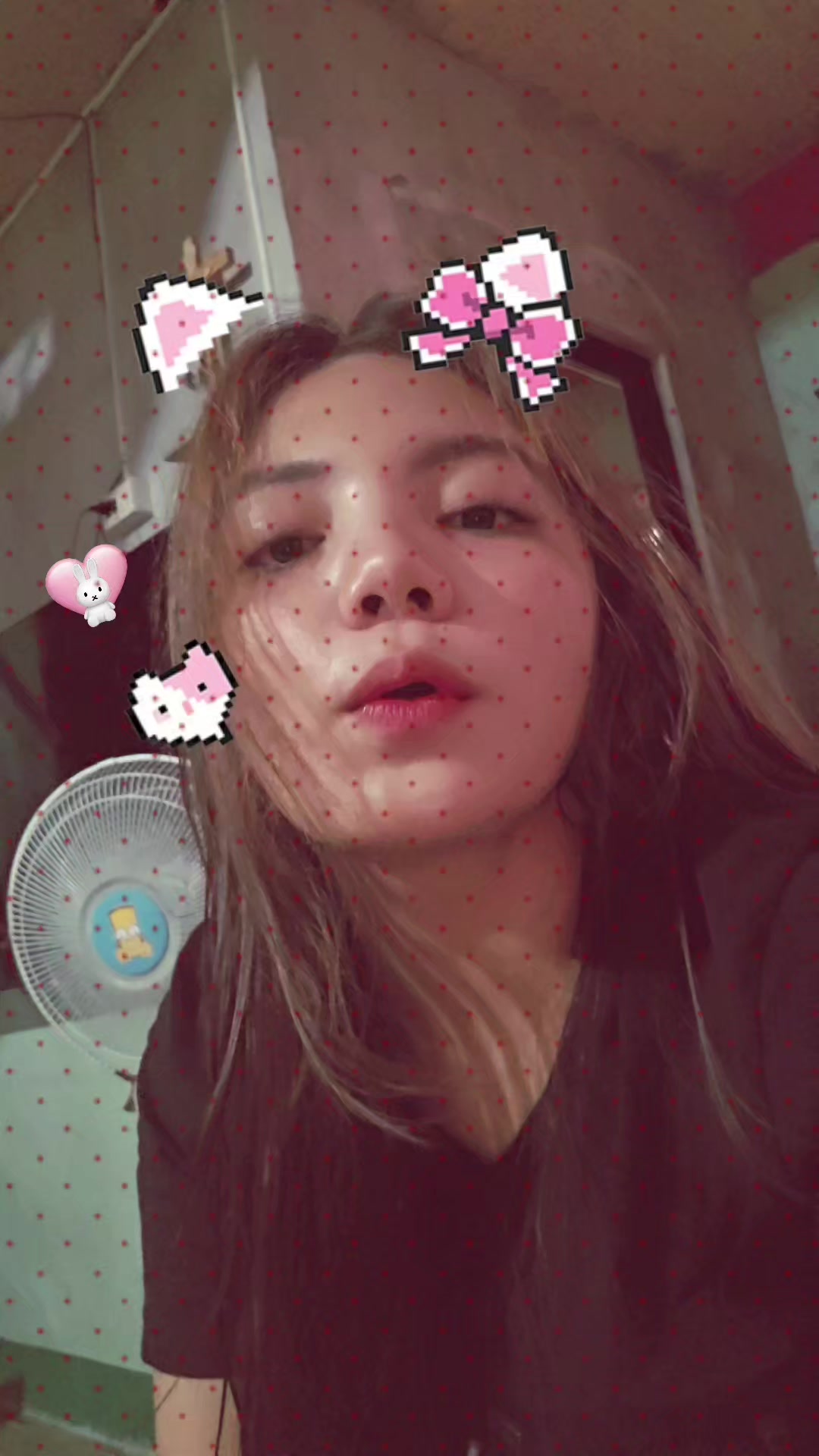 @padua.mja