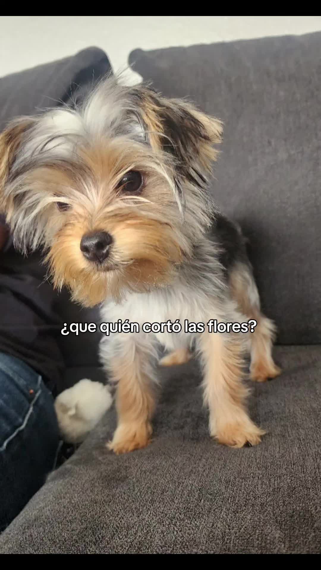 @Monica Haro