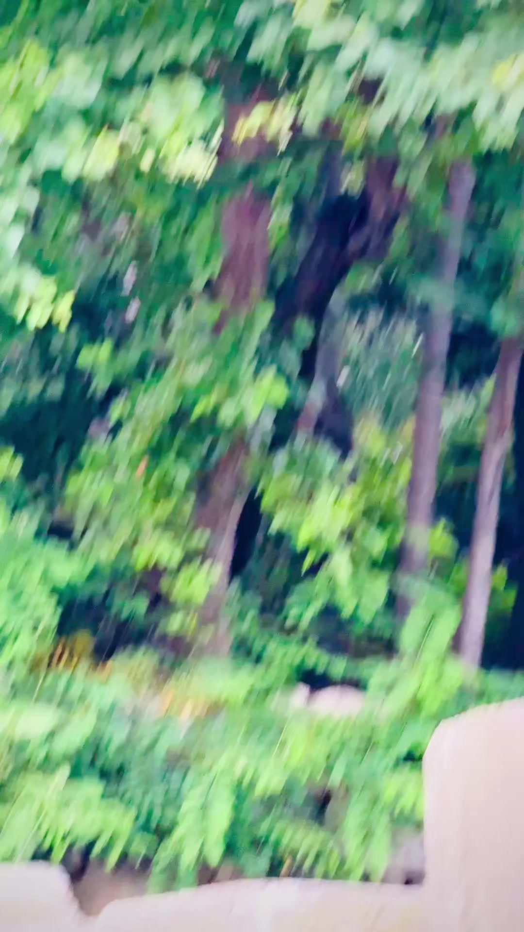 @ilham_jani_bj