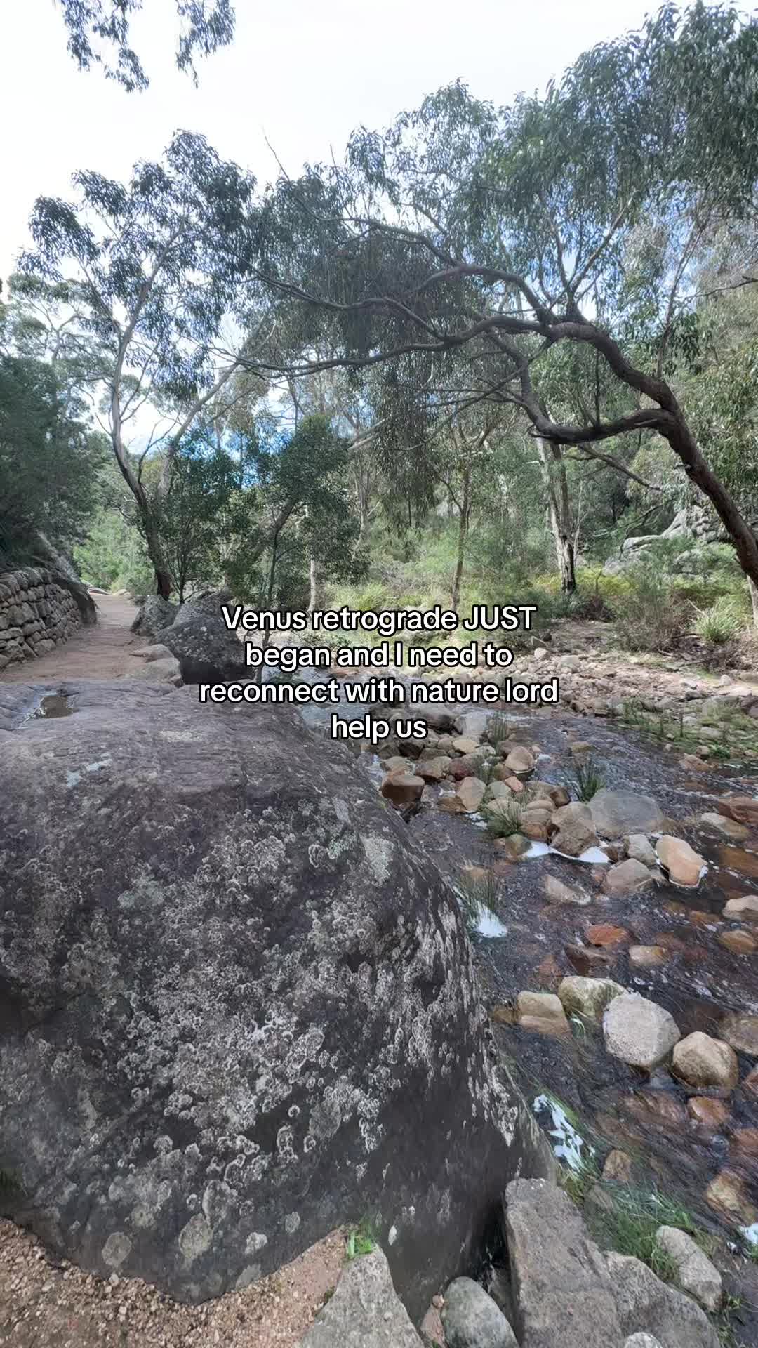 @synchroniseliving