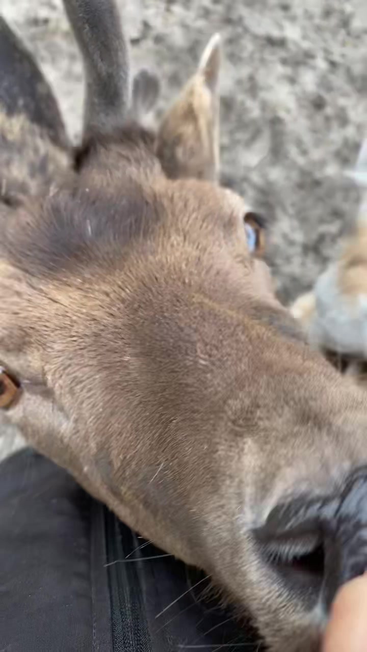 @Boo__Farm