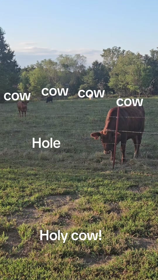@Davy ❌️Eagon