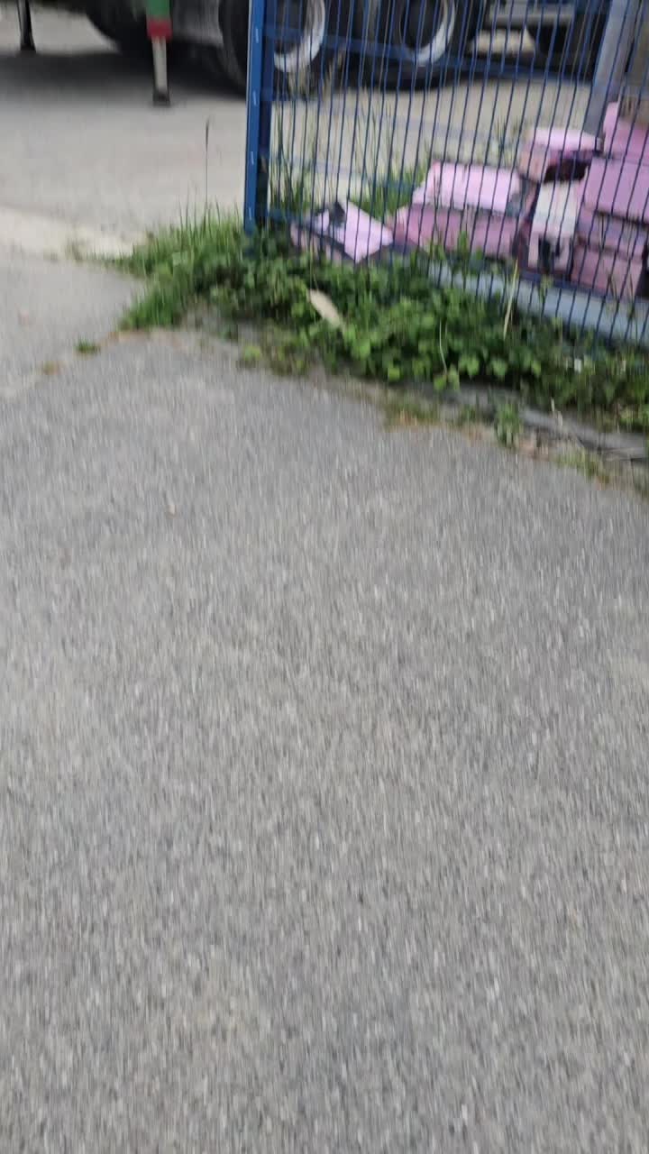 @Pilić_91