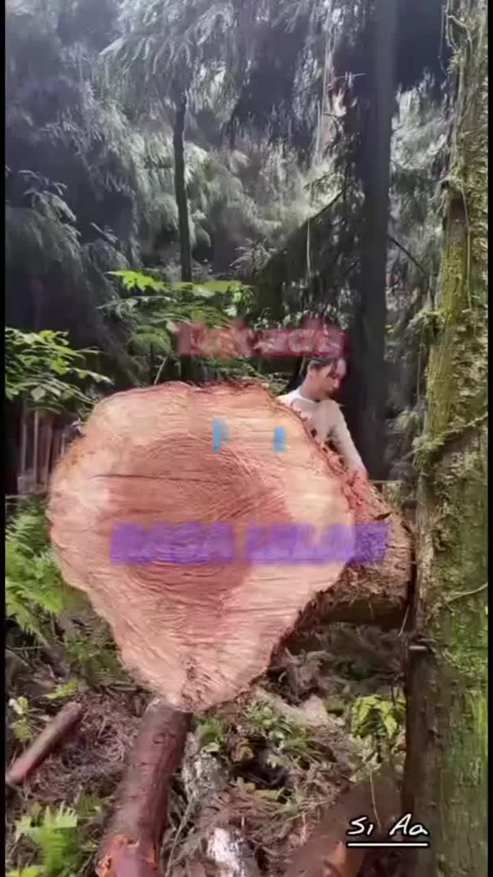 @Muhammad Najib