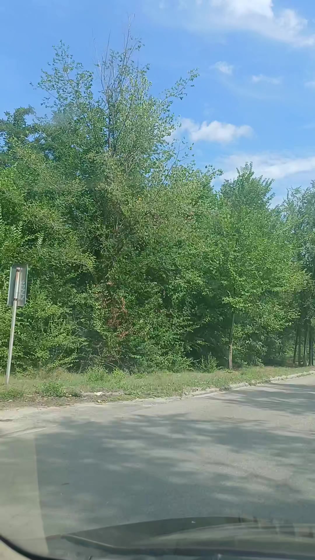 @Саша ( Метр )
