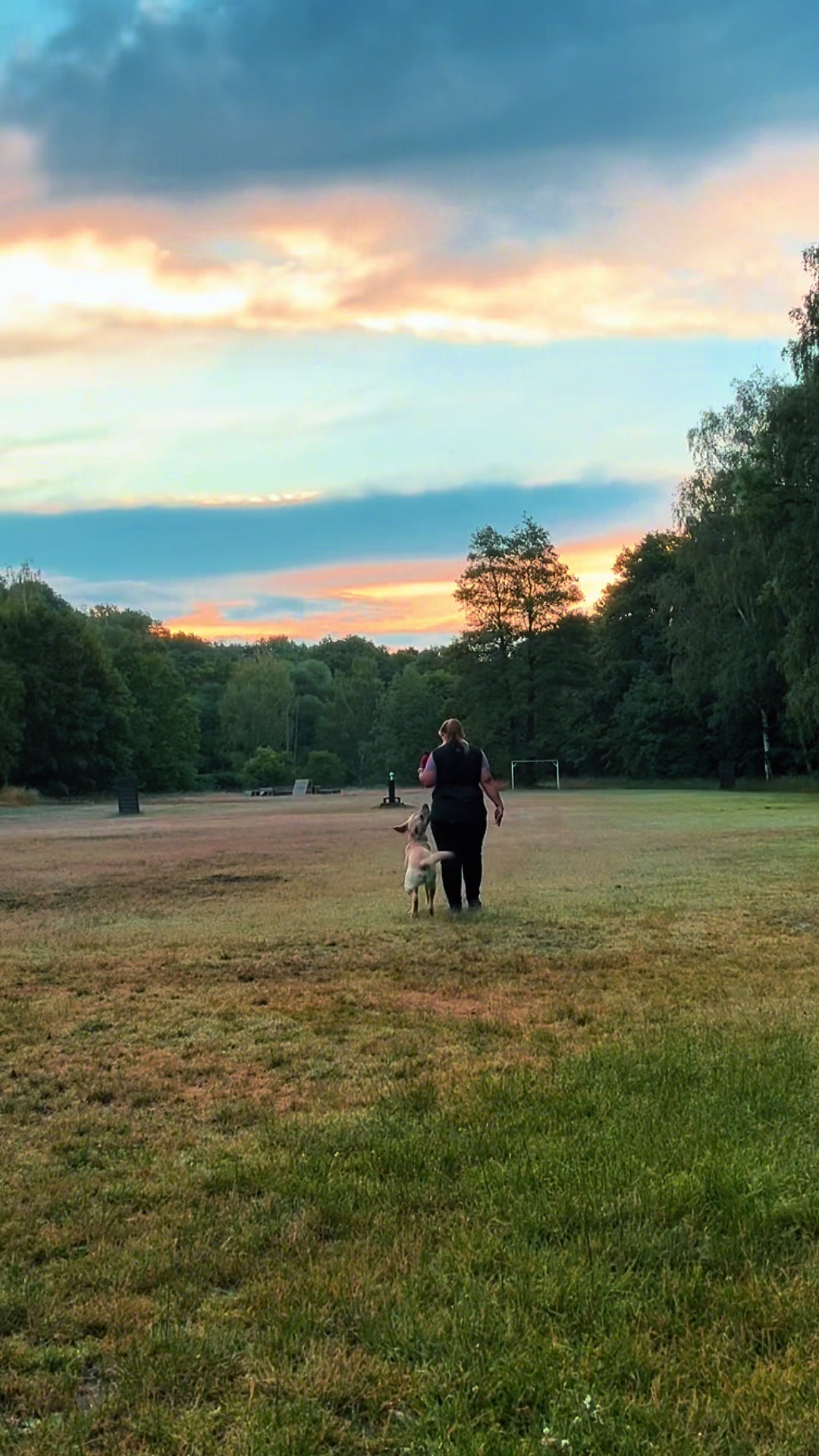 @harzerhunde