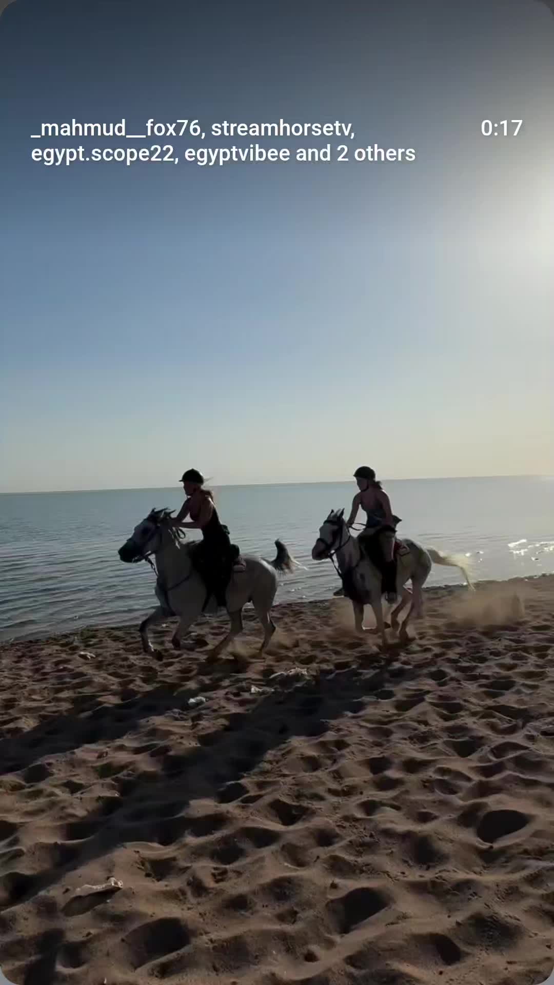 @streamhorse
