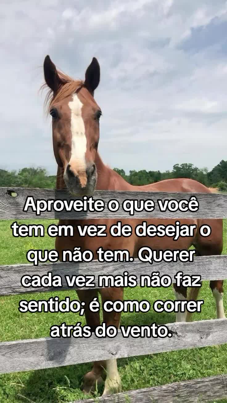 @Raiz da Roça Oficial