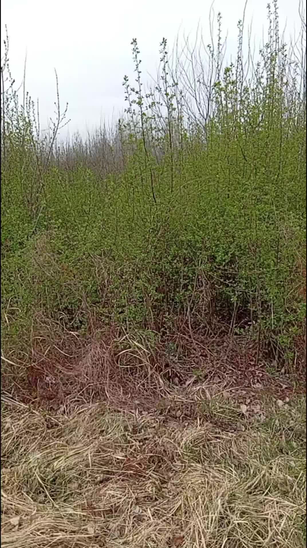 @Алексей Сасин709
