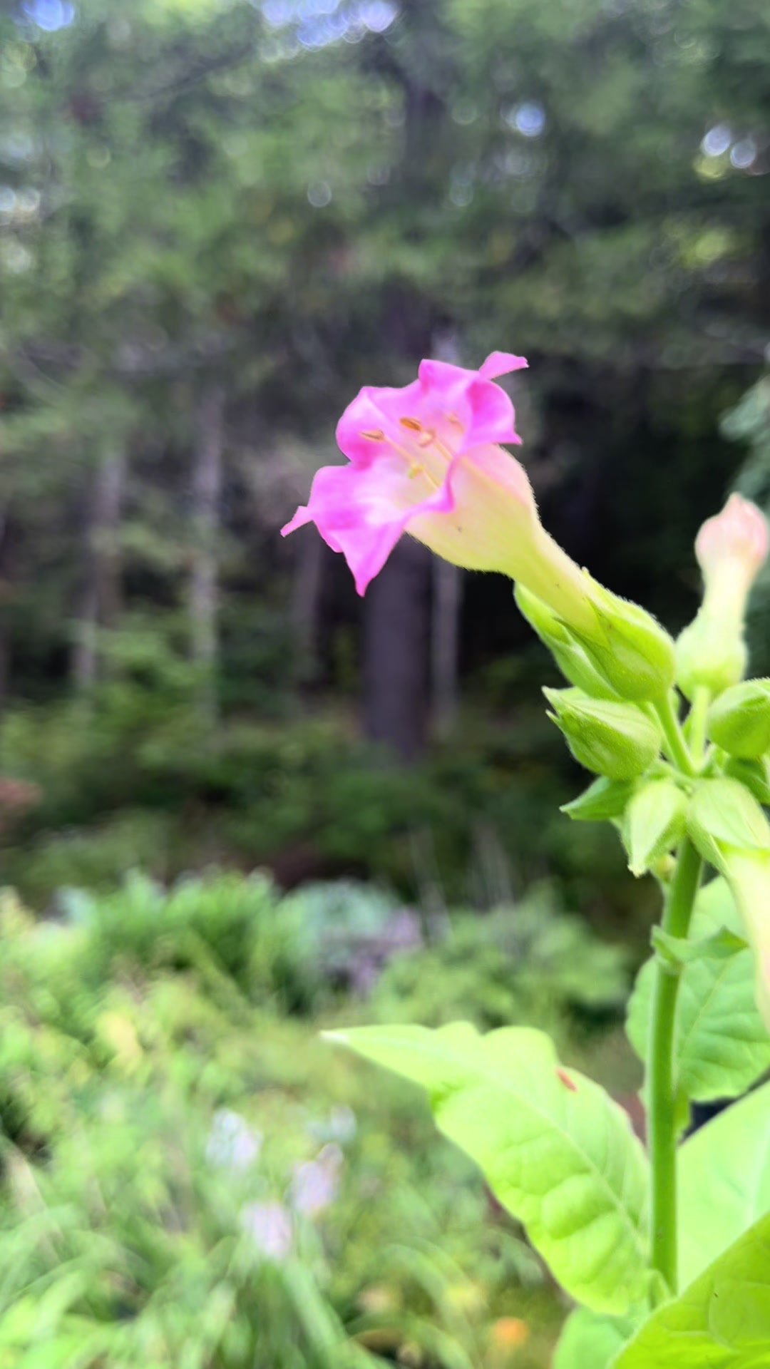@Danielle Marie