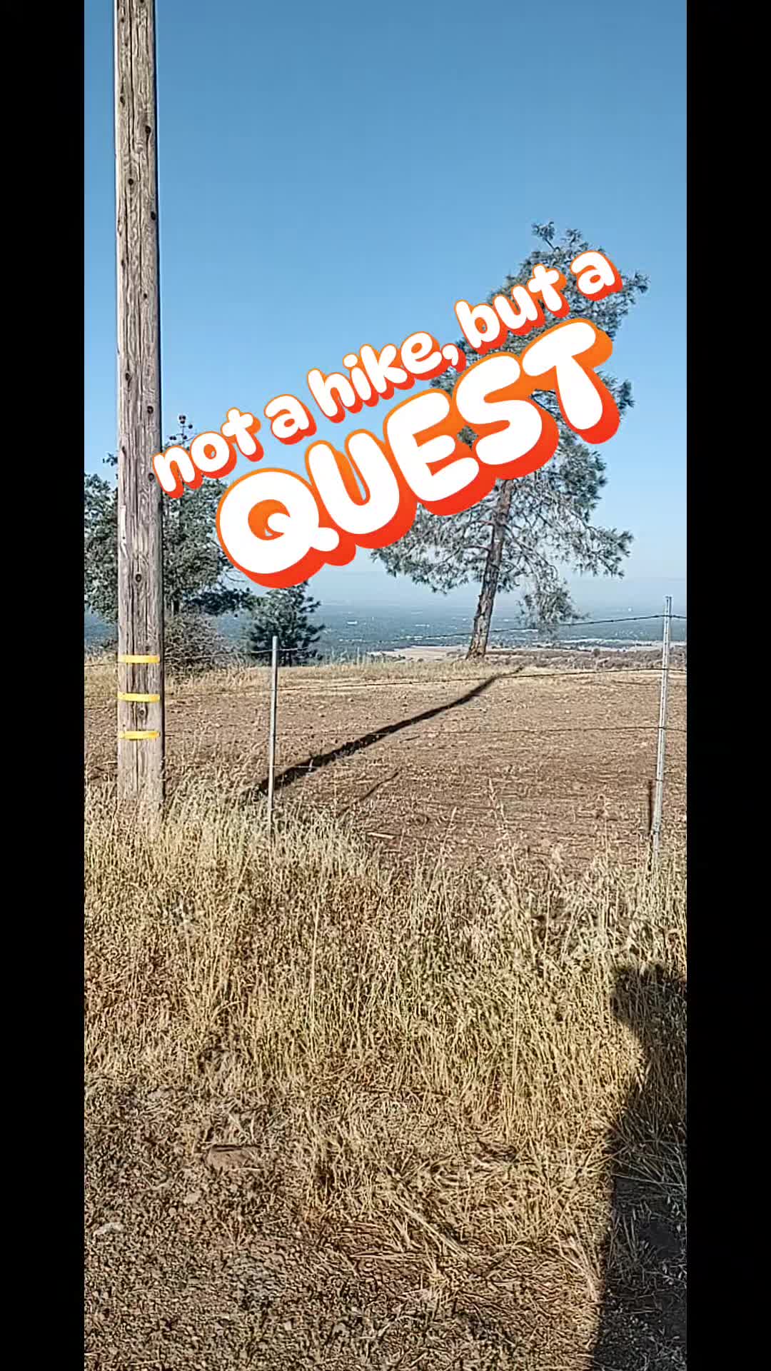 @dsguymon