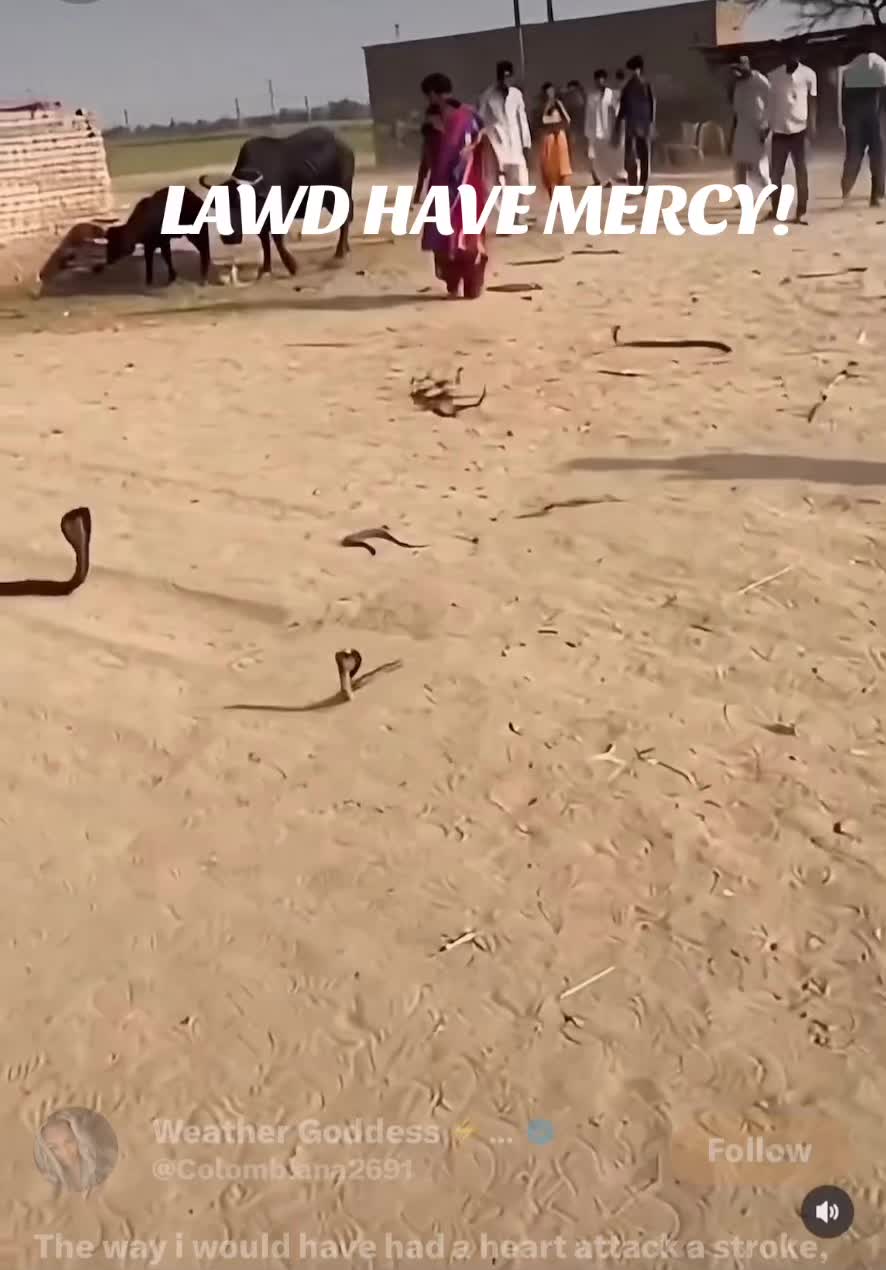 @Missy 2.0