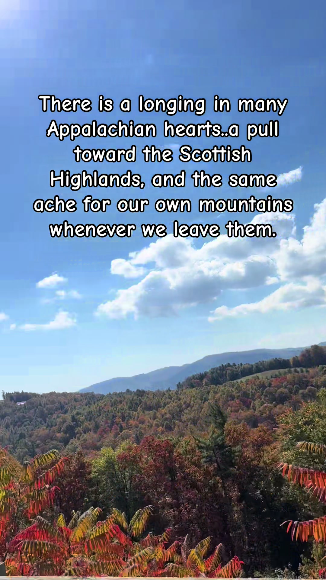 @appalachianwildling